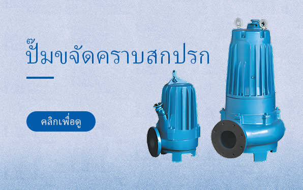 ปั๊มขจัดคราบสกปรก